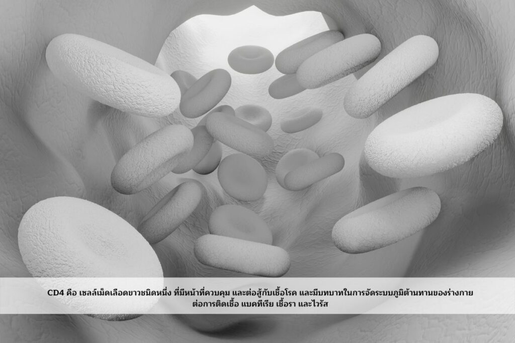 เซลล์เม็ดเลือดขาว